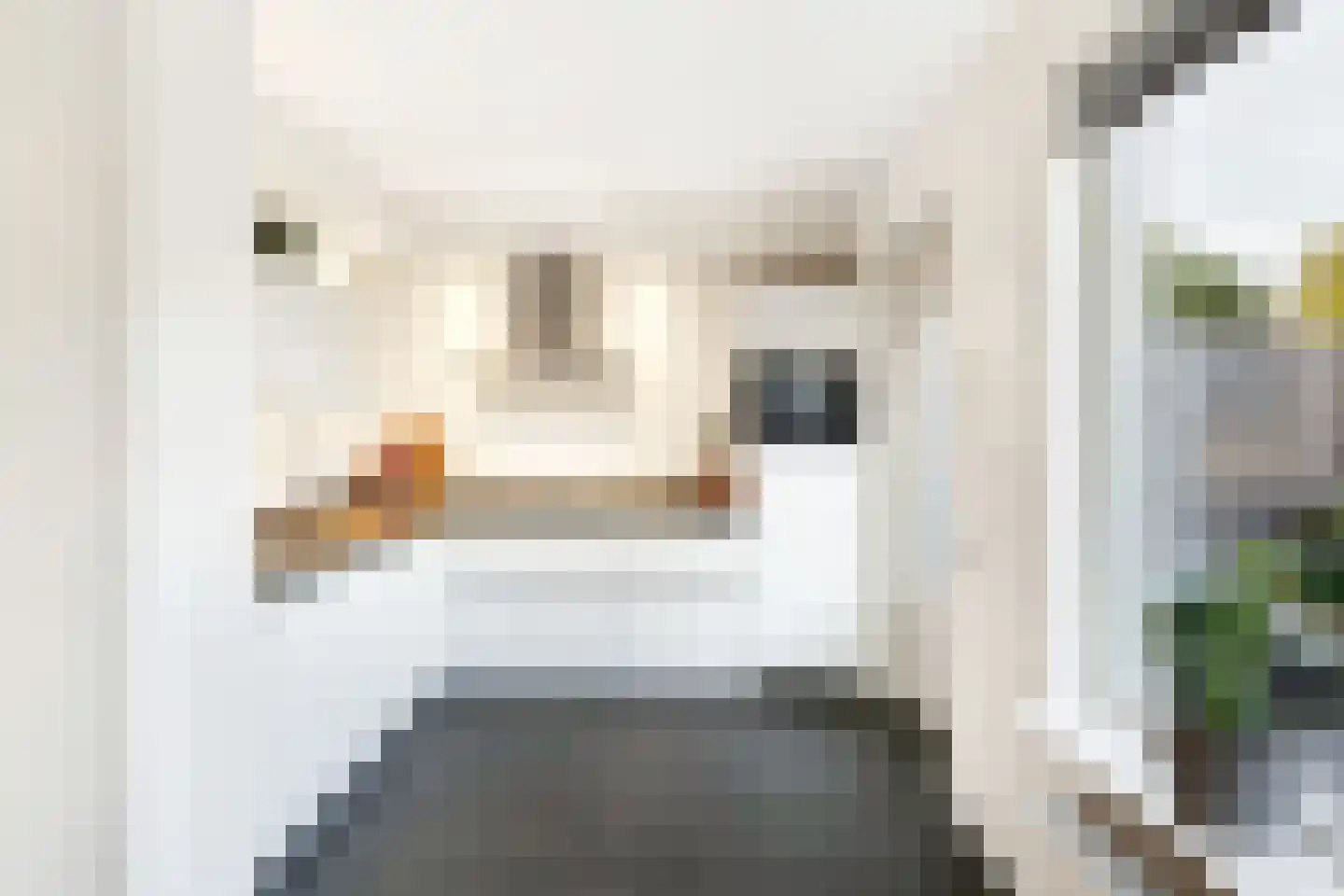 De Hilver 49 Goirle thumbnail 15