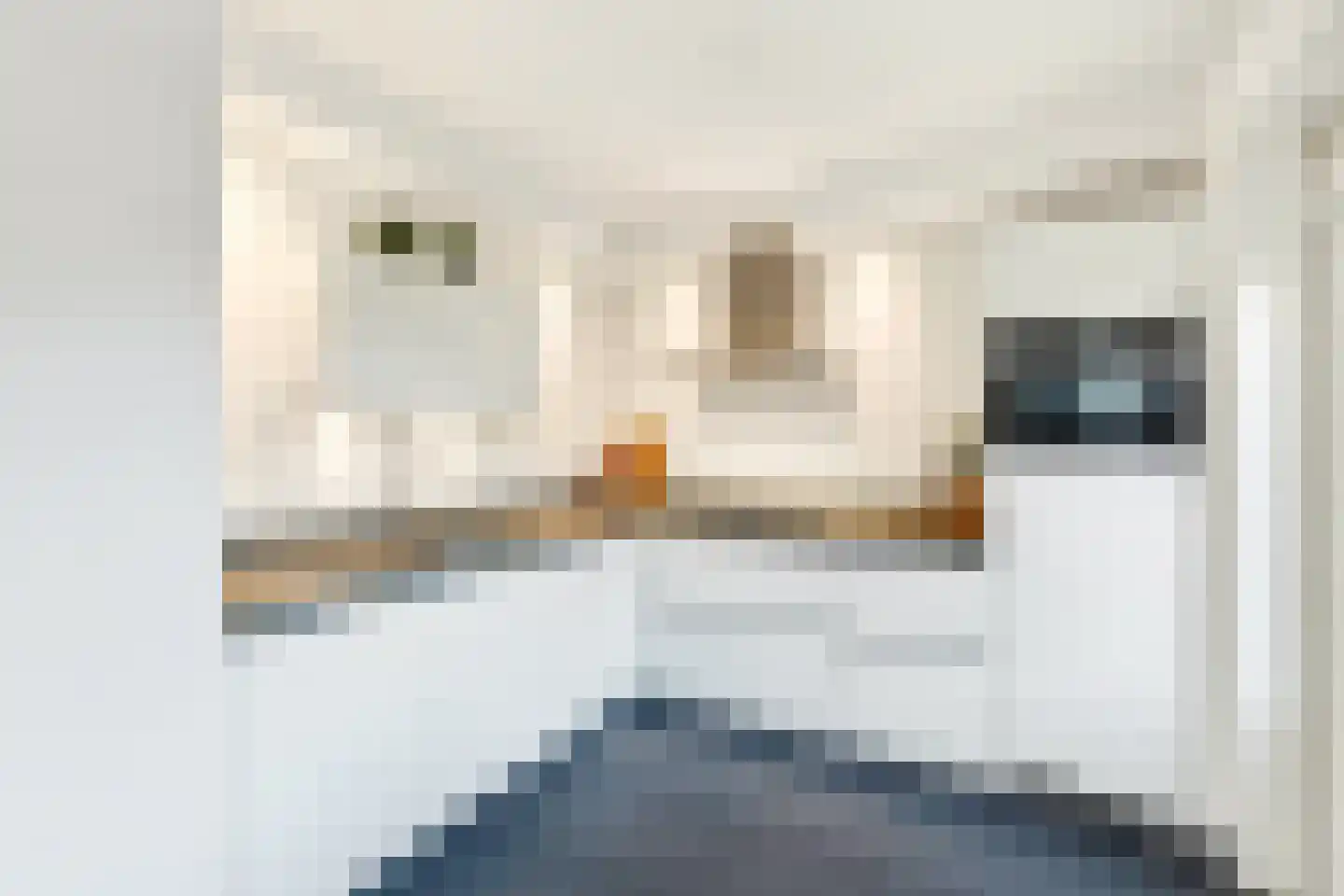De Hilver 49 Goirle thumbnail 16