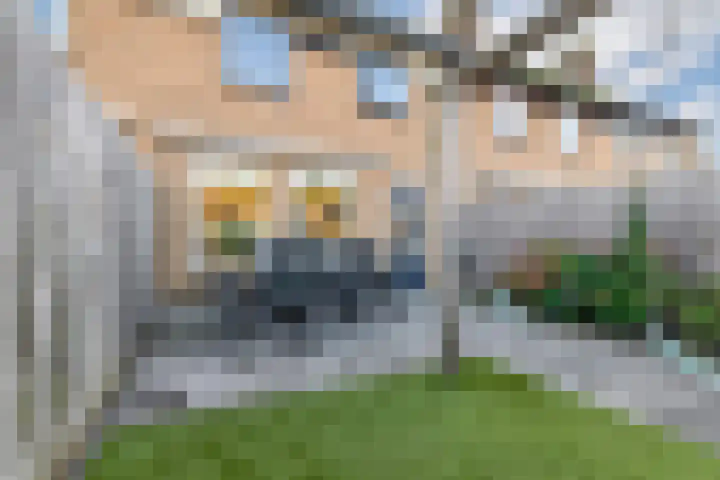 De Hilver 49 Goirle thumbnail 42