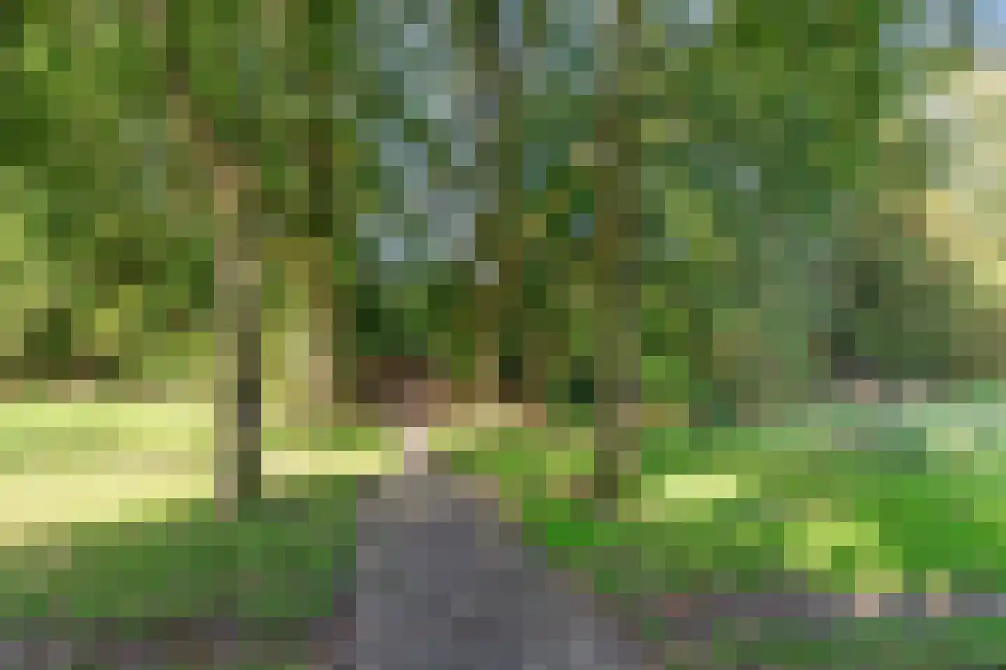 De Hilver 49 Goirle thumbnail 47