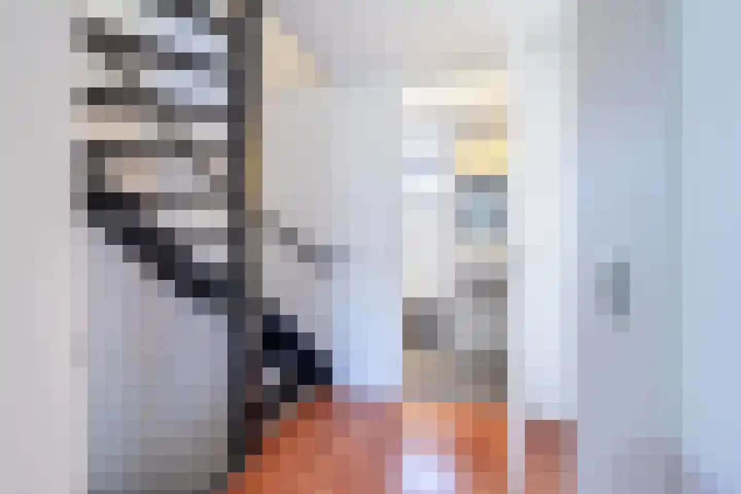 De Hilver 76 Goirle thumbnail 13