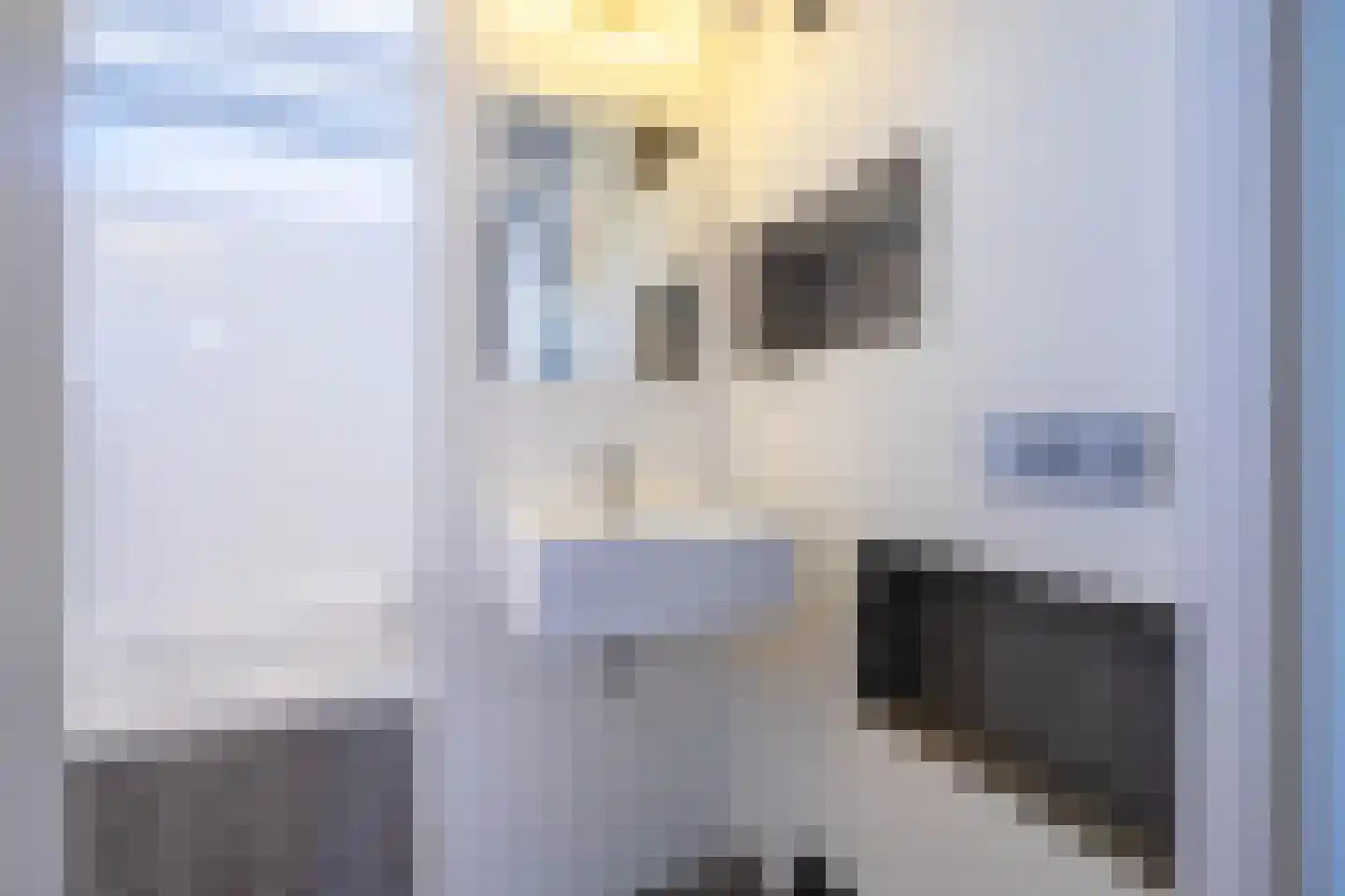 De Hilver 76 Goirle thumbnail 20