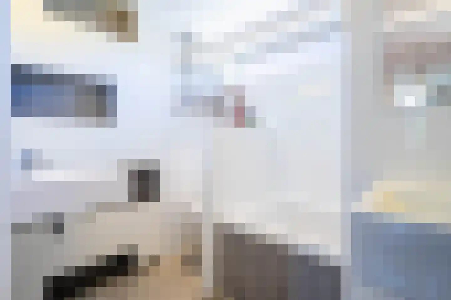De Hilver 76 Goirle thumbnail 21