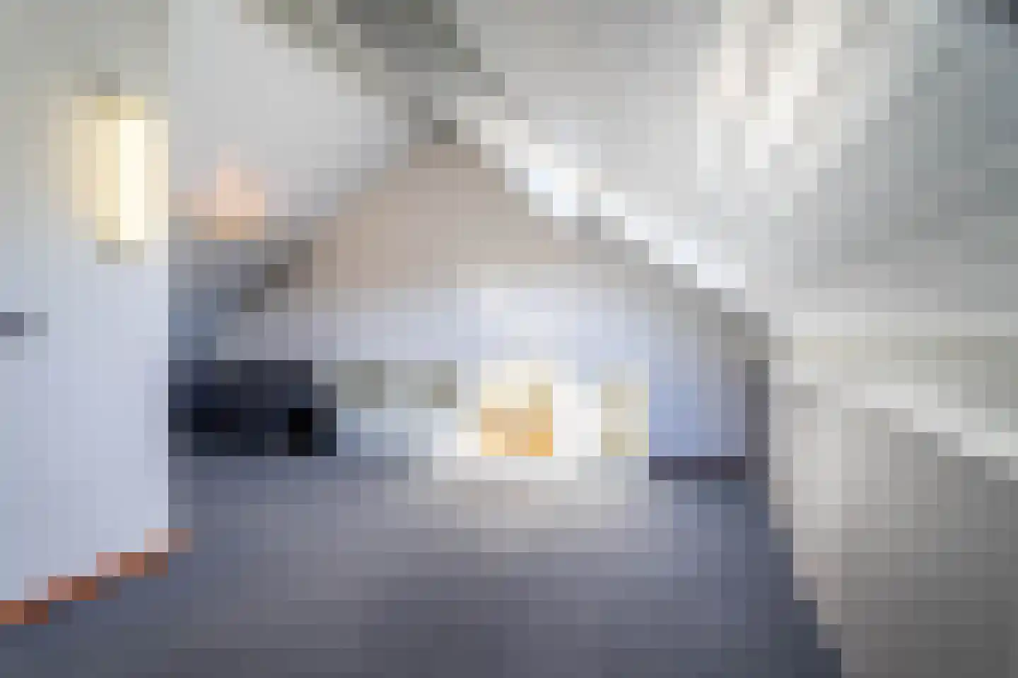De Hilver 76 Goirle thumbnail 24