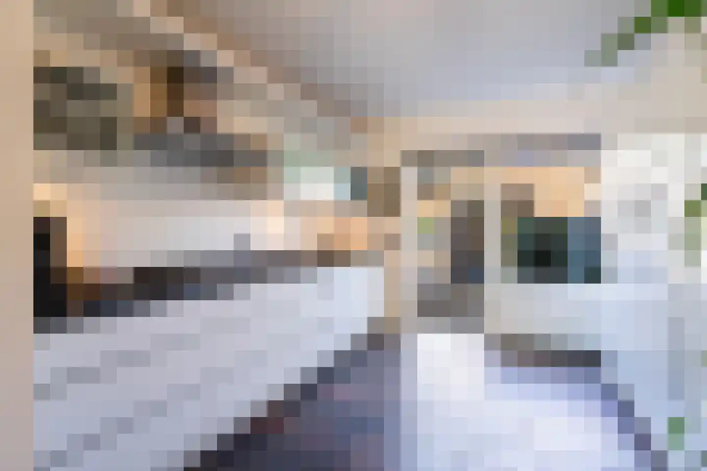De Hilver 76 Goirle thumbnail 7