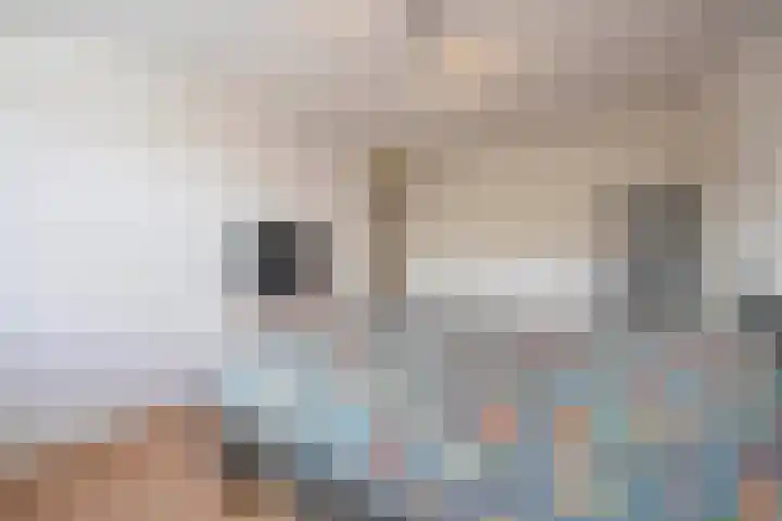 De Hilver 80 Goirle thumbnail 22