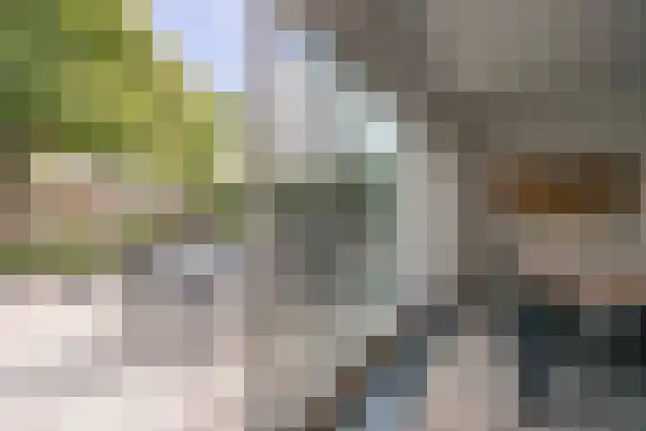 De Hilver 80 Goirle thumbnail 34