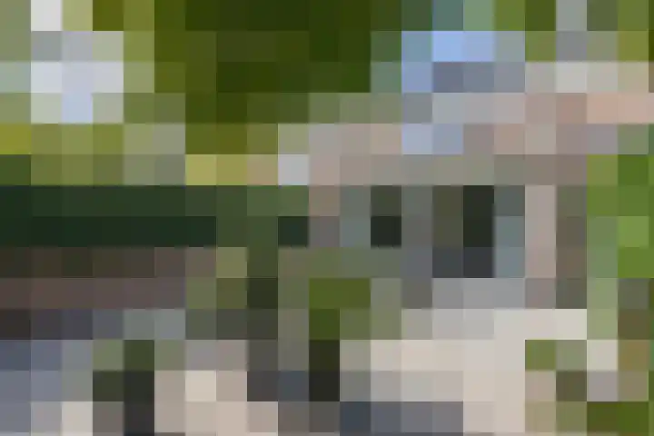 De Hilver 80 Goirle thumbnail 37