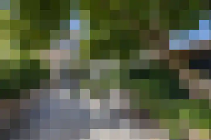 De Hilver 80 Goirle thumbnail 38