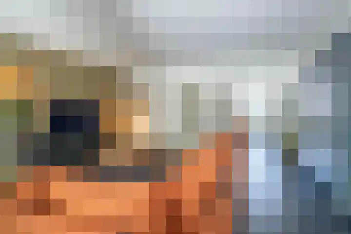 De Hilver 80 Goirle thumbnail 6