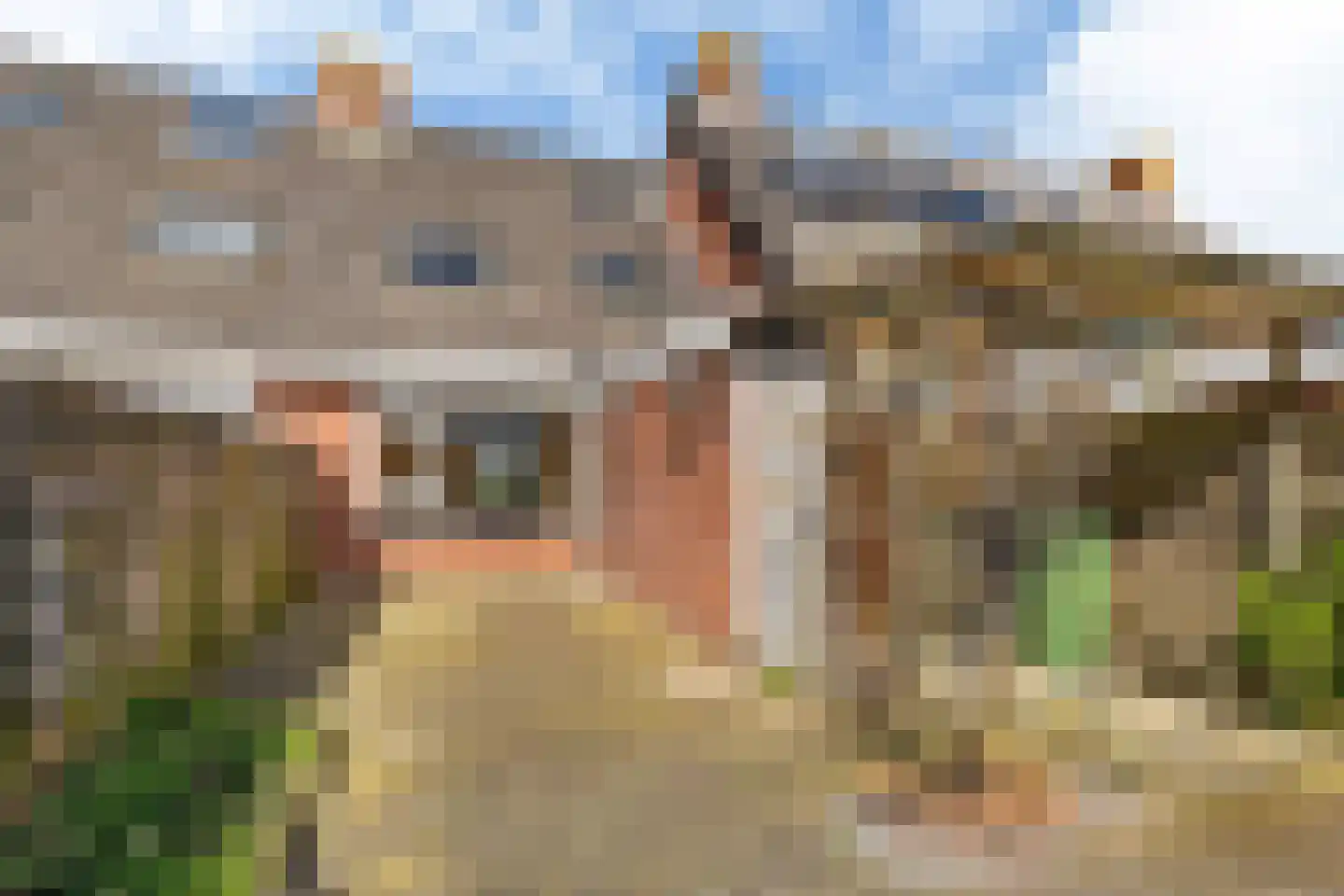 De Him 8 Bolsward thumbnail 19