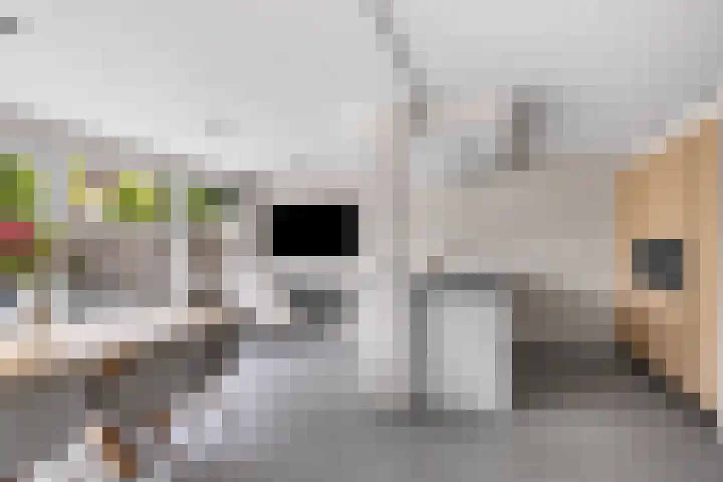 De Hoants 13 Bolsward thumbnail 17