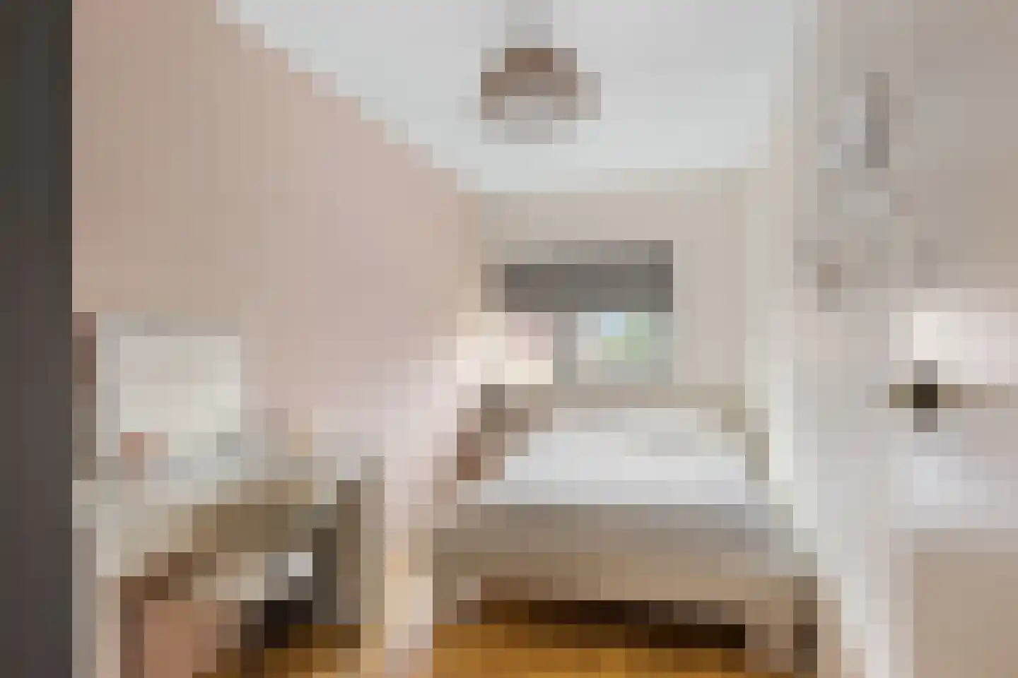 De Hoants 13 Bolsward thumbnail 30