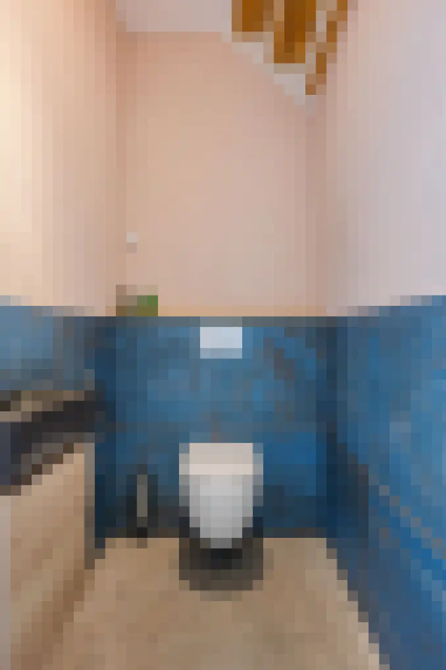 De Hoarnen 1 Holwert thumbnail 10