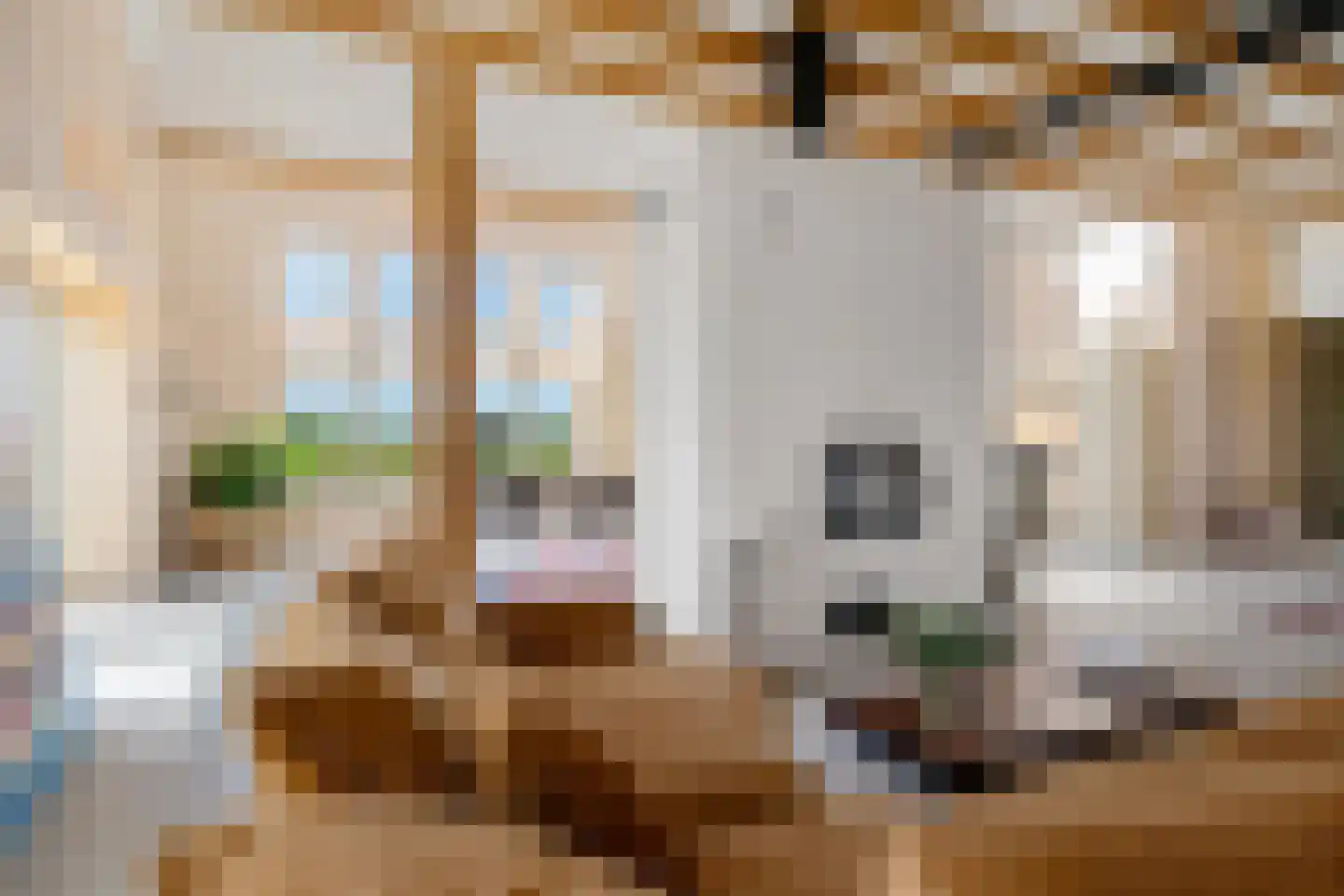 De Hoarnen 1 Holwert thumbnail 14