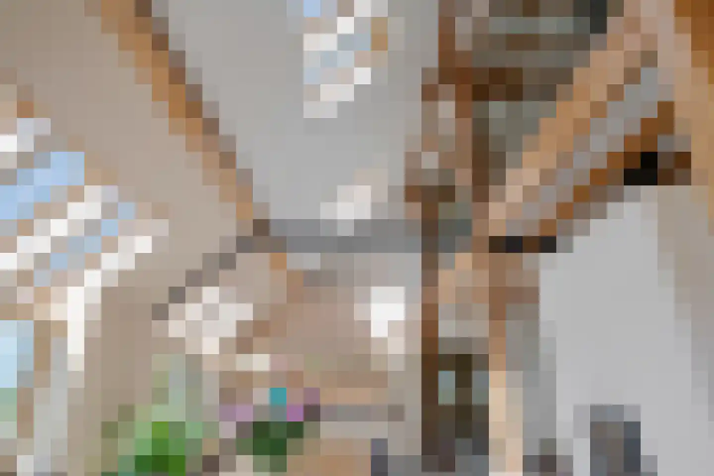 De Hoarnen 1 Holwert thumbnail 17