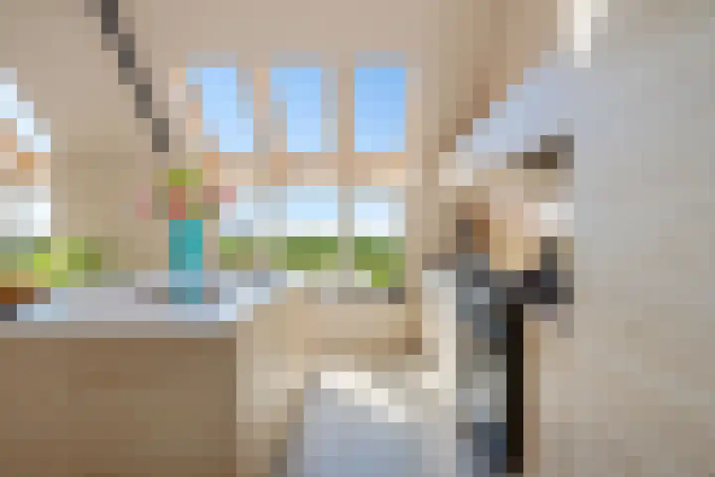De Hoarnen 1 Holwert thumbnail 18