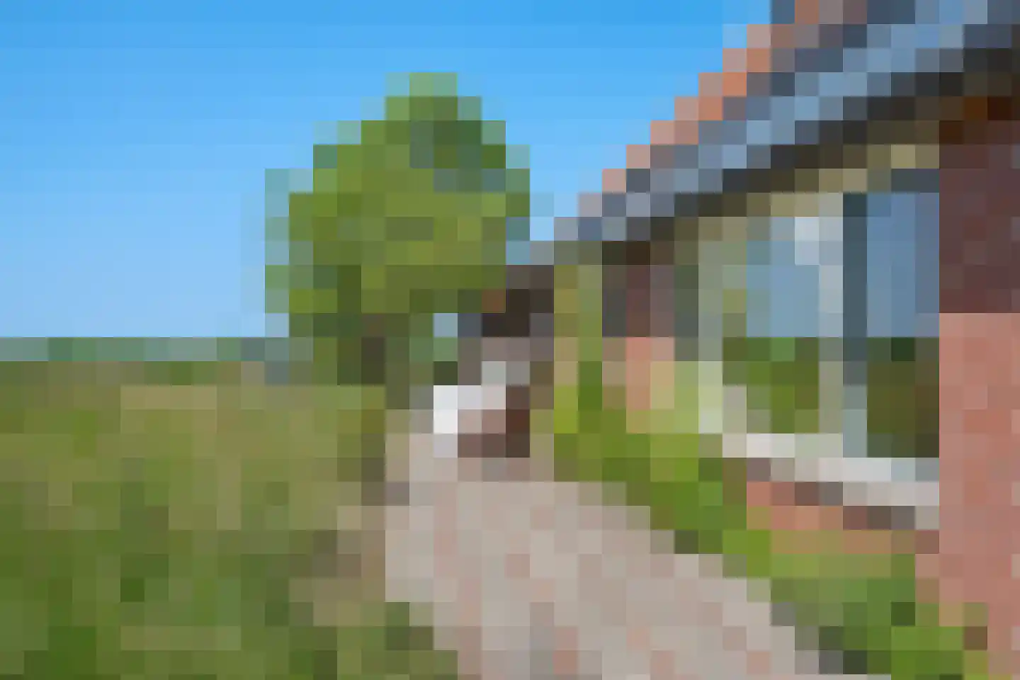 De Hoarnen 1 Holwert thumbnail 37