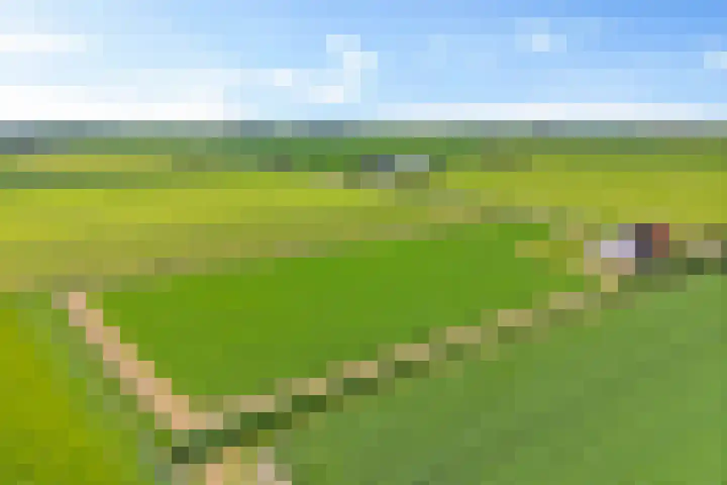 De Hoarnen 1 Holwert thumbnail 4