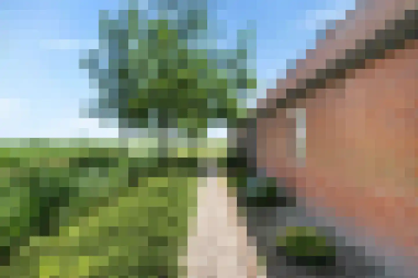 De Hoarnen 1 Holwert thumbnail 43