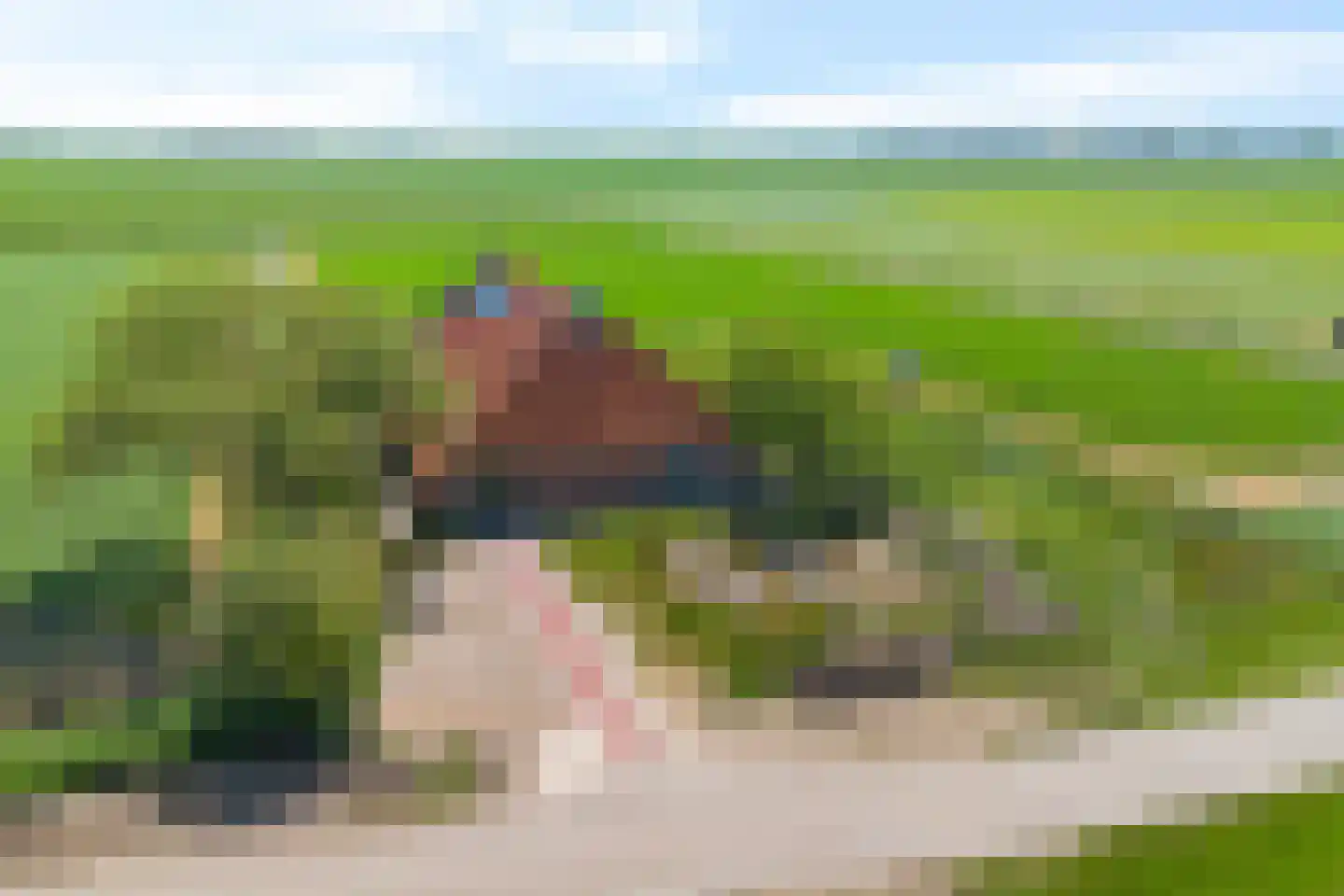 De Hoarnen 1 Holwert thumbnail 45