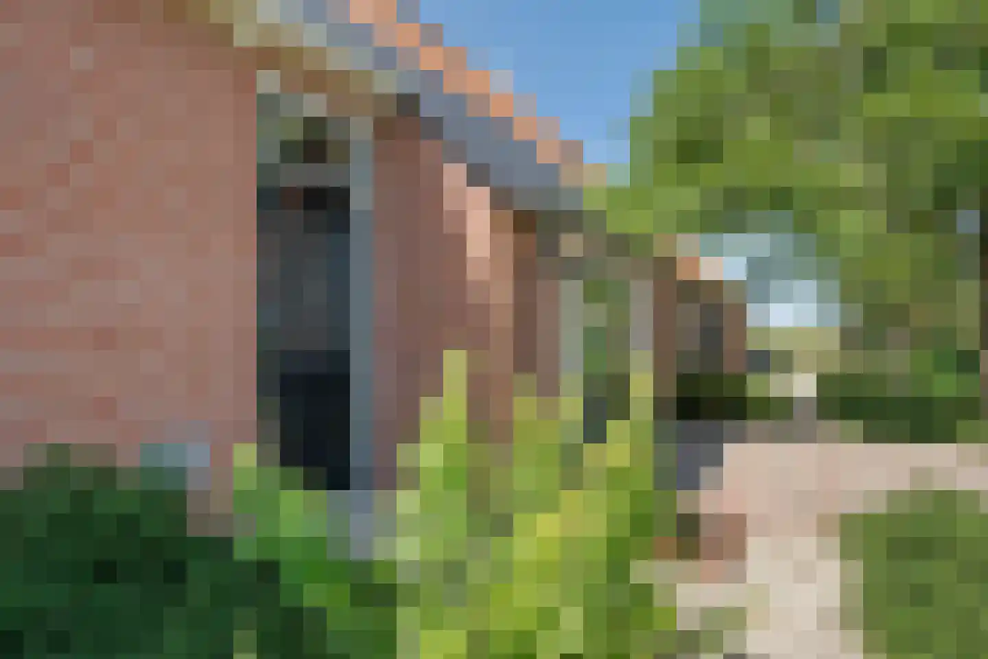 De Hoarnen 1 Holwert thumbnail 5