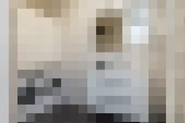 De Hochterhof 4 Sint Geertruid thumbnail 19