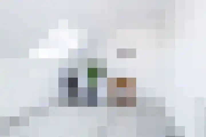 De Hochterhof 4 Sint Geertruid thumbnail 23