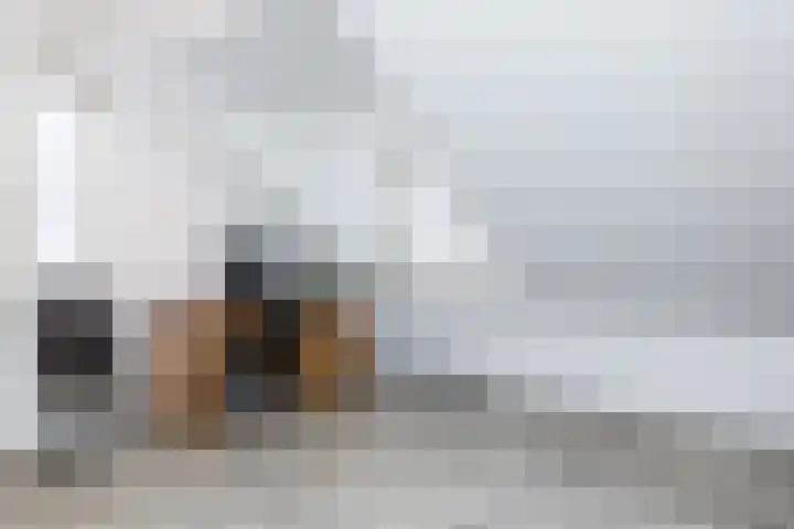 De Hochterhof 4 Sint Geertruid thumbnail 25