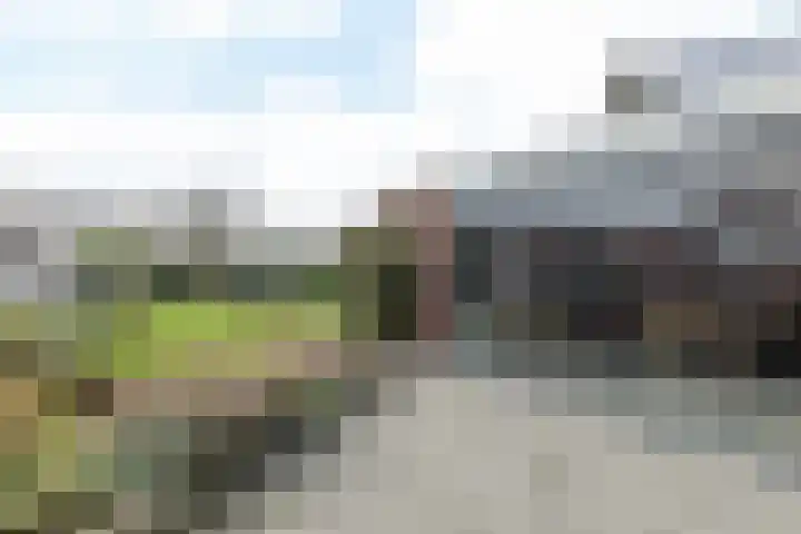 De Hochterhof 4 Sint Geertruid thumbnail 29
