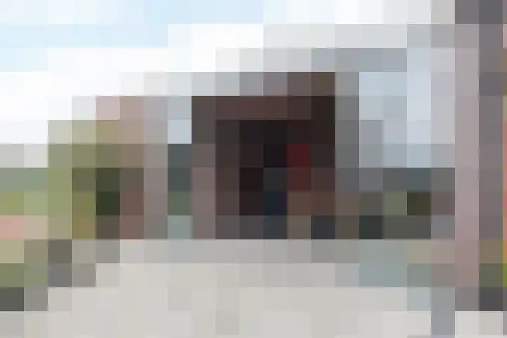 De Hochterhof 4 Sint Geertruid thumbnail 30