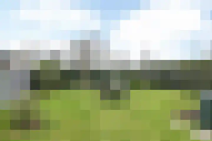 De Hochterhof 4 Sint Geertruid thumbnail 32