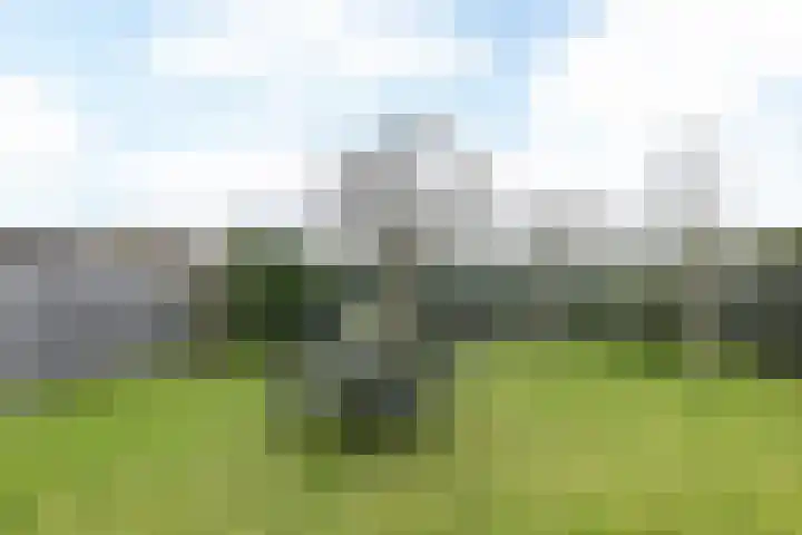 De Hochterhof 4 Sint Geertruid thumbnail 33