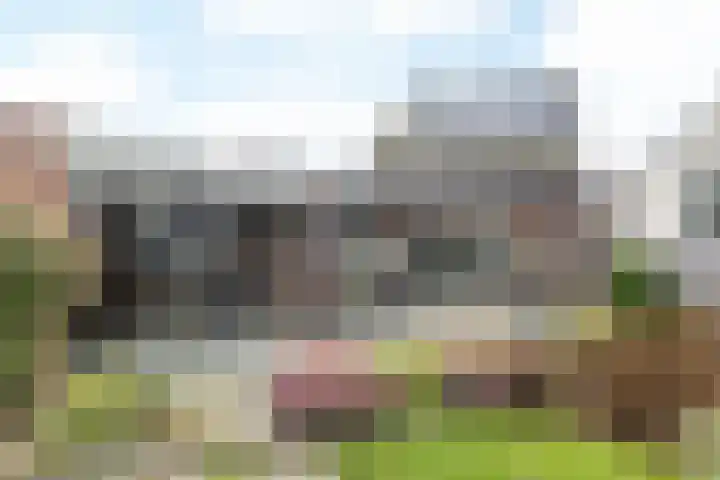 De Hochterhof 4 Sint Geertruid thumbnail 35