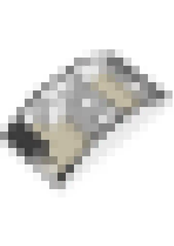 De Hochterhof 4 Sint Geertruid thumbnail 42