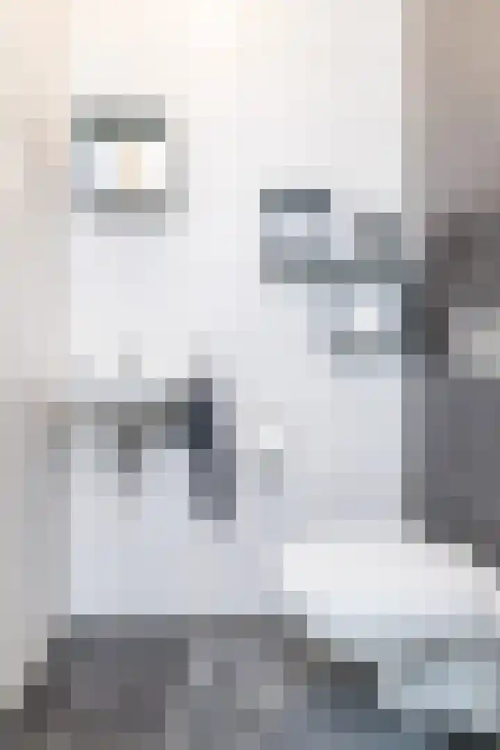 De Hochterhof 4 Sint Geertruid thumbnail 6