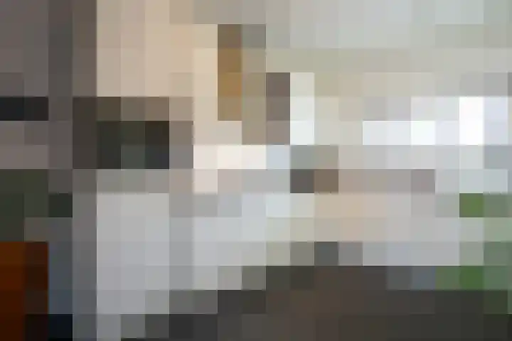 De Hochterhof 5 Sint Geertruid thumbnail 13
