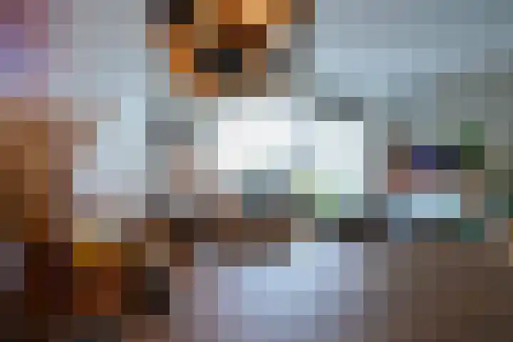 De Hochterhof 5 Sint Geertruid thumbnail 16