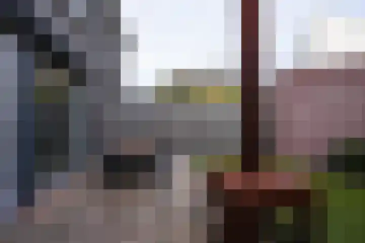 De Hochterhof 5 Sint Geertruid thumbnail 21