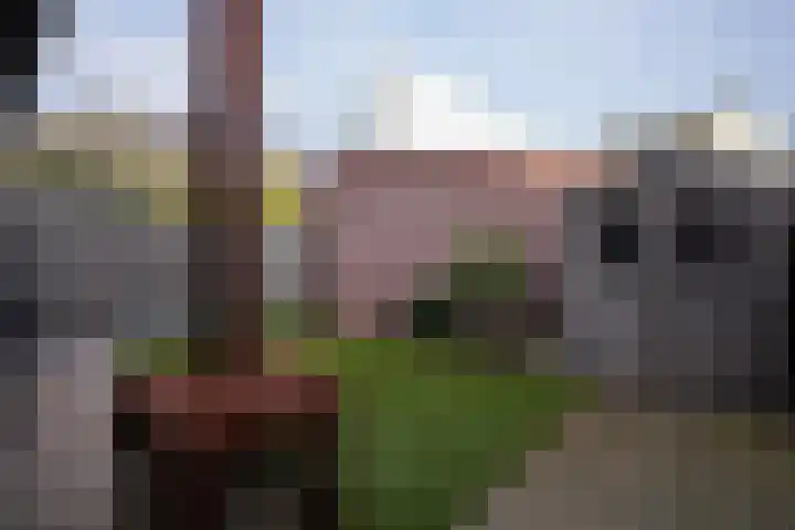 De Hochterhof 5 Sint Geertruid thumbnail 22