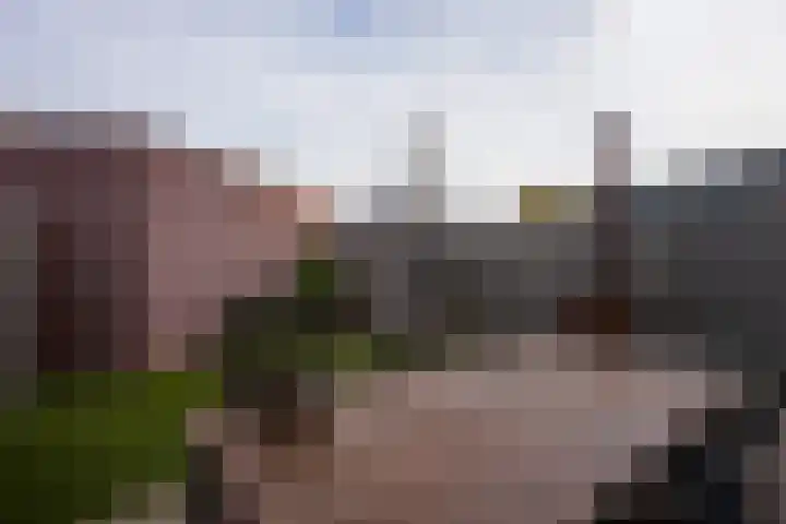 De Hochterhof 5 Sint Geertruid thumbnail 24