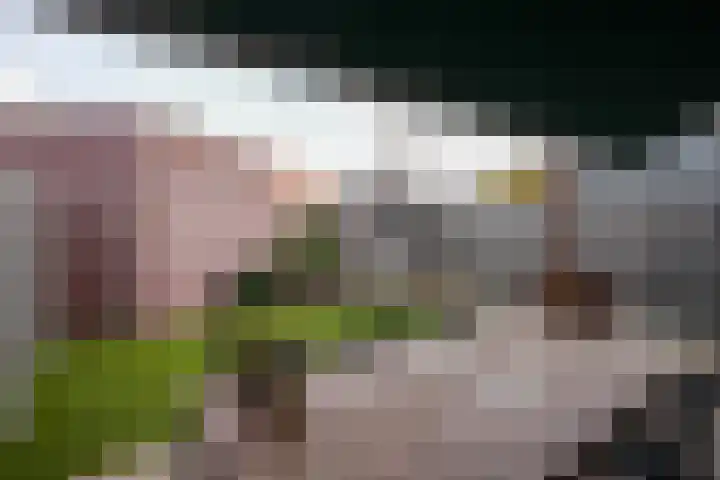 De Hochterhof 5 Sint Geertruid thumbnail 25