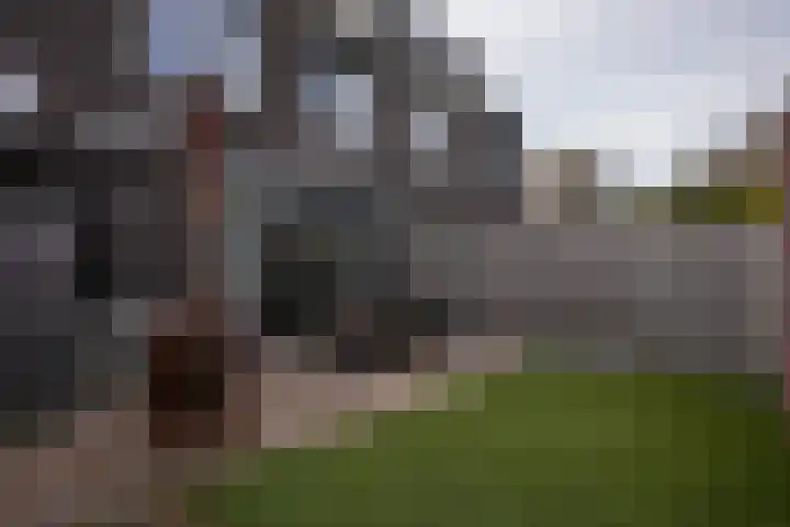 De Hochterhof 5 Sint Geertruid thumbnail 26