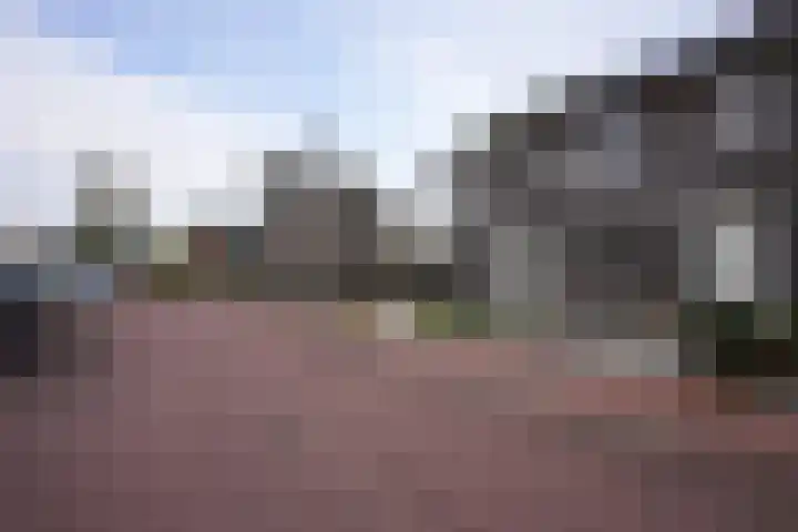 De Hochterhof 5 Sint Geertruid thumbnail 40