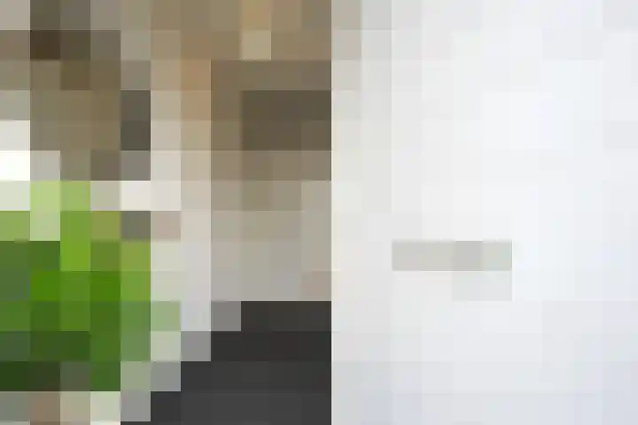 De Hochterhof 5 Sint Geertruid thumbnail 7