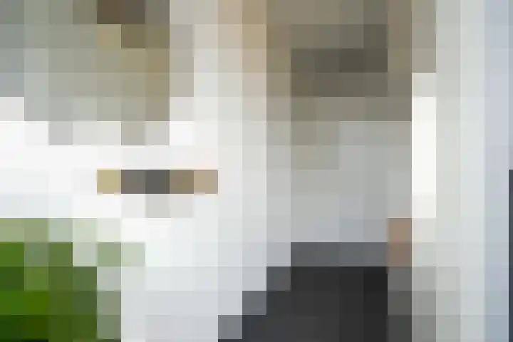 De Hochterhof 5 Sint Geertruid thumbnail 8