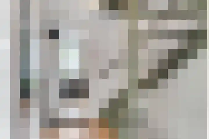 De Hoef 12 Malden thumbnail 13