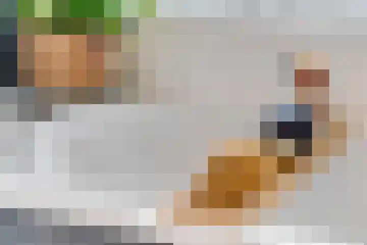 De Hoef 12 Malden thumbnail 22