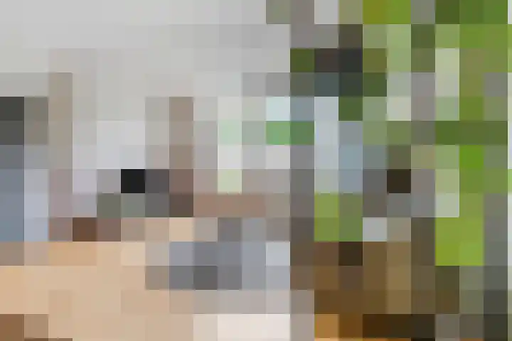 De Hoef 12 Malden thumbnail 8