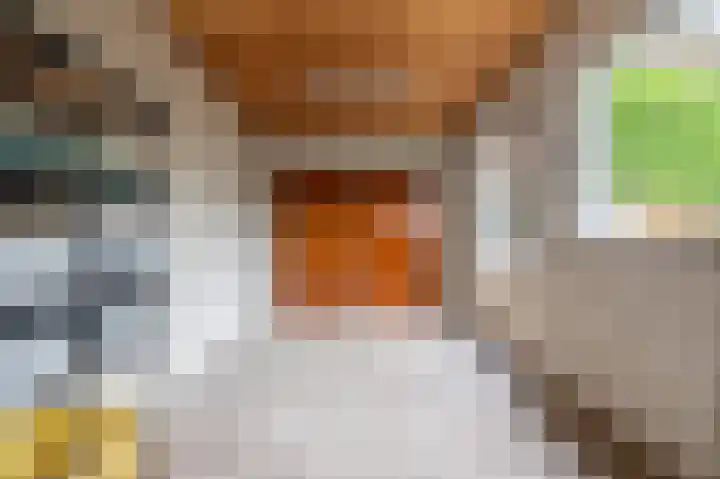 De Hoef 13 Bergeijk thumbnail 22